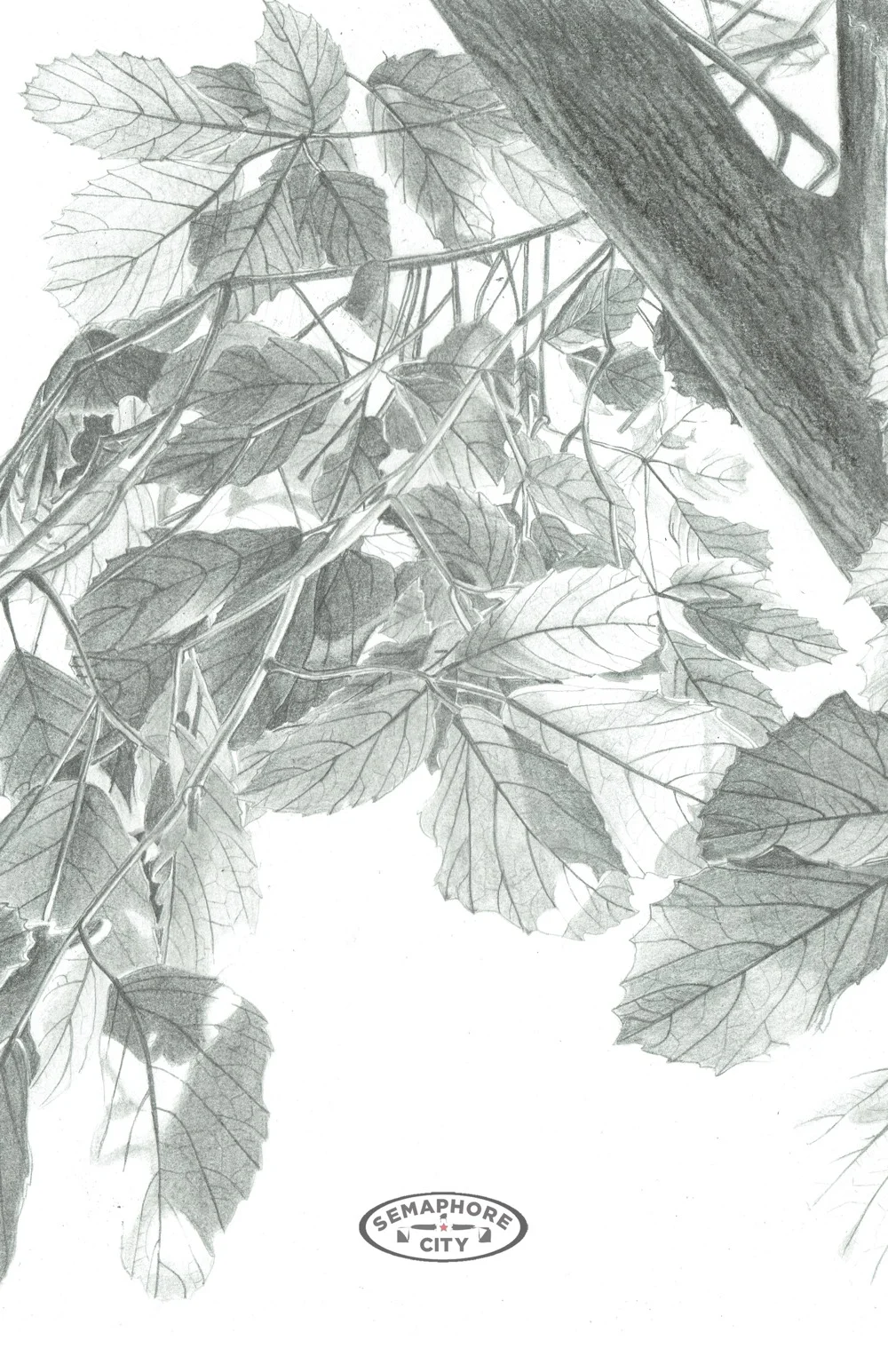 back_cover.jpg