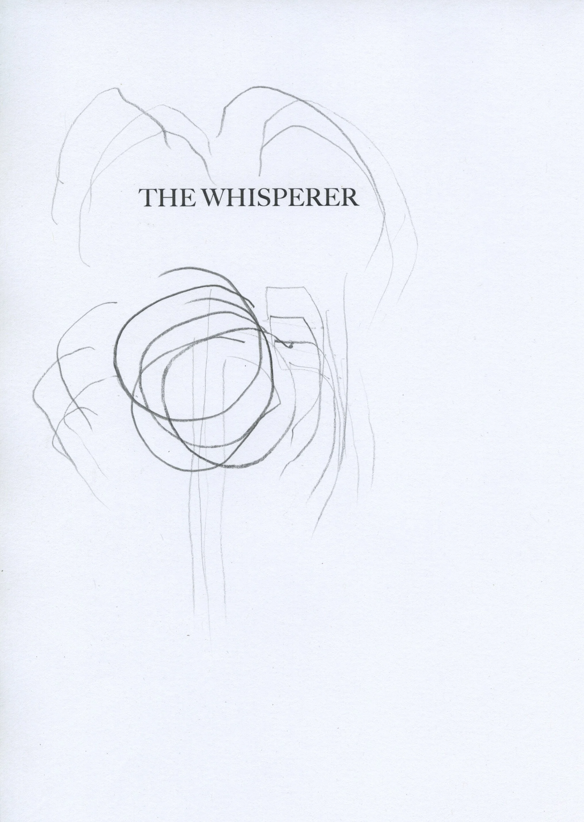 page a Title Page.jpeg