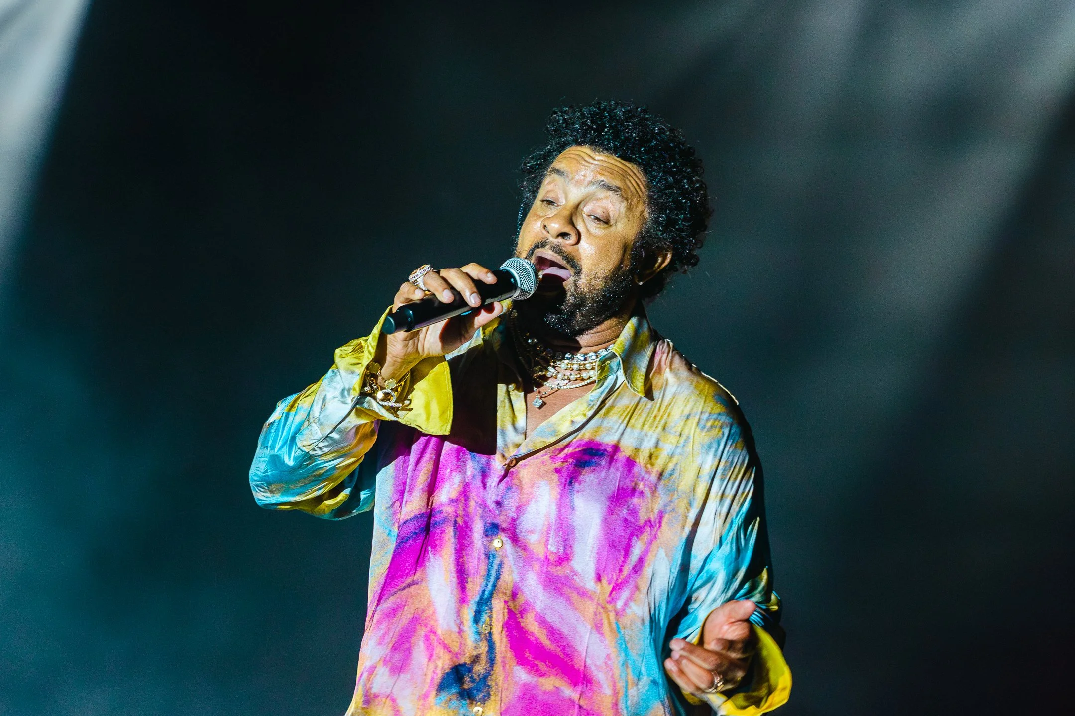 Shaggy - Web-8.jpg