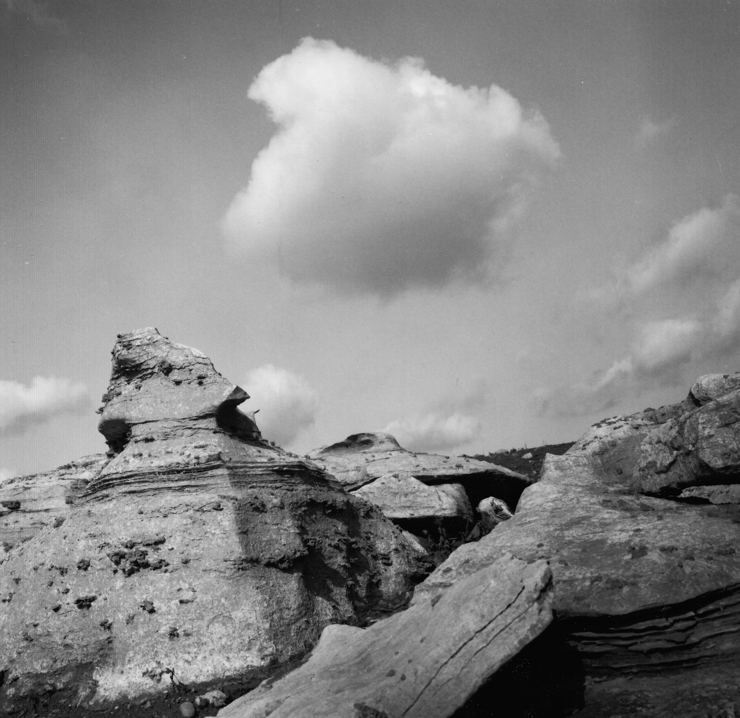 Sphinx Douglas Lake, Tennessee