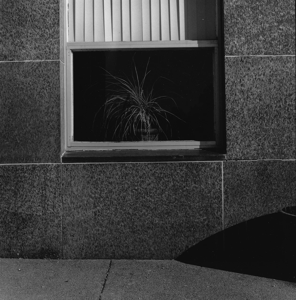 window1.jpg
