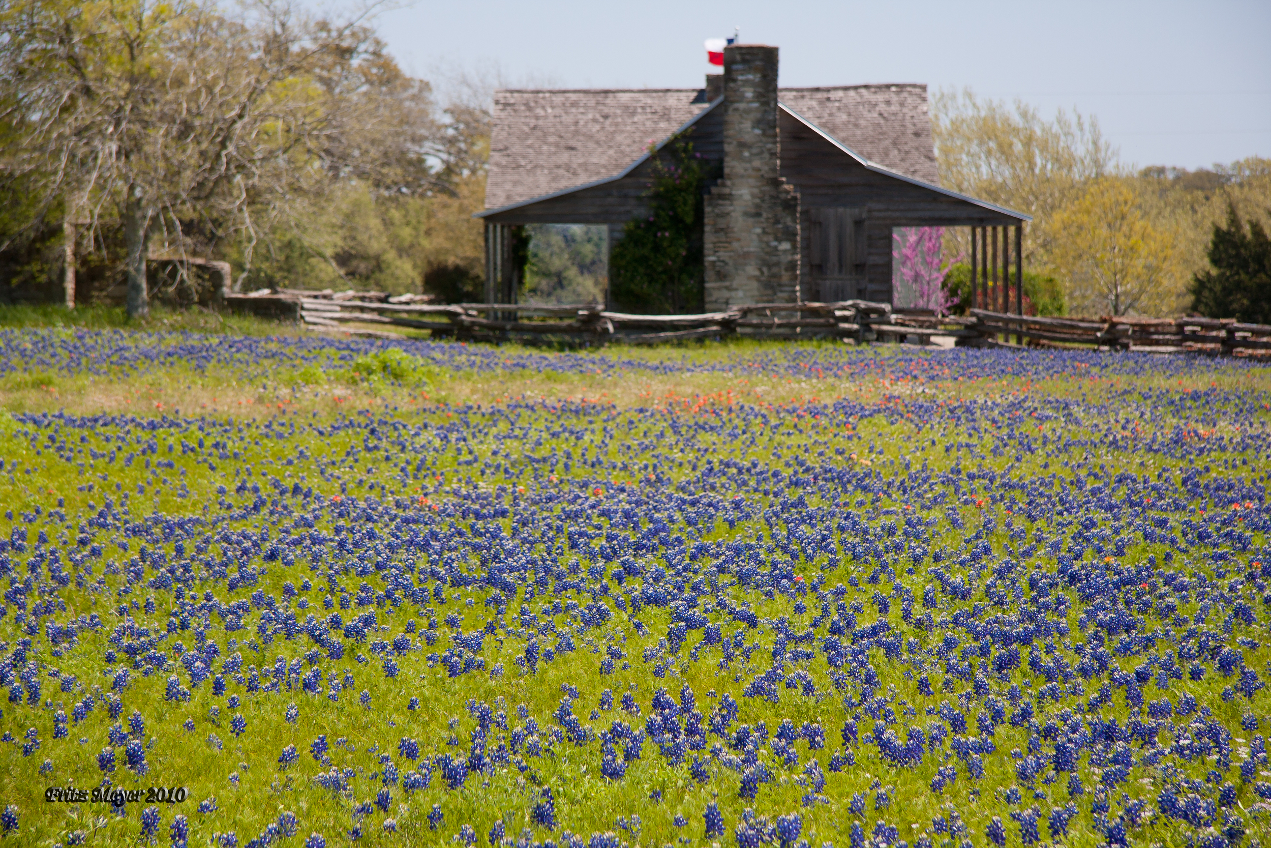 Austin-2010-7566-Edit.jpg