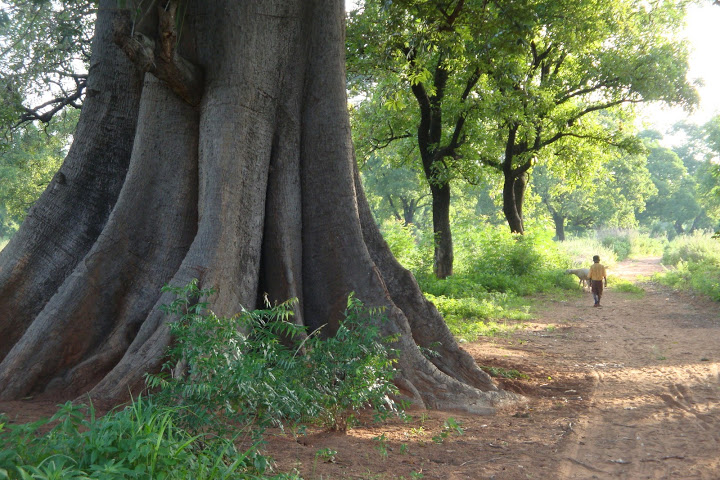 Damongo, Ghana by M Moquin