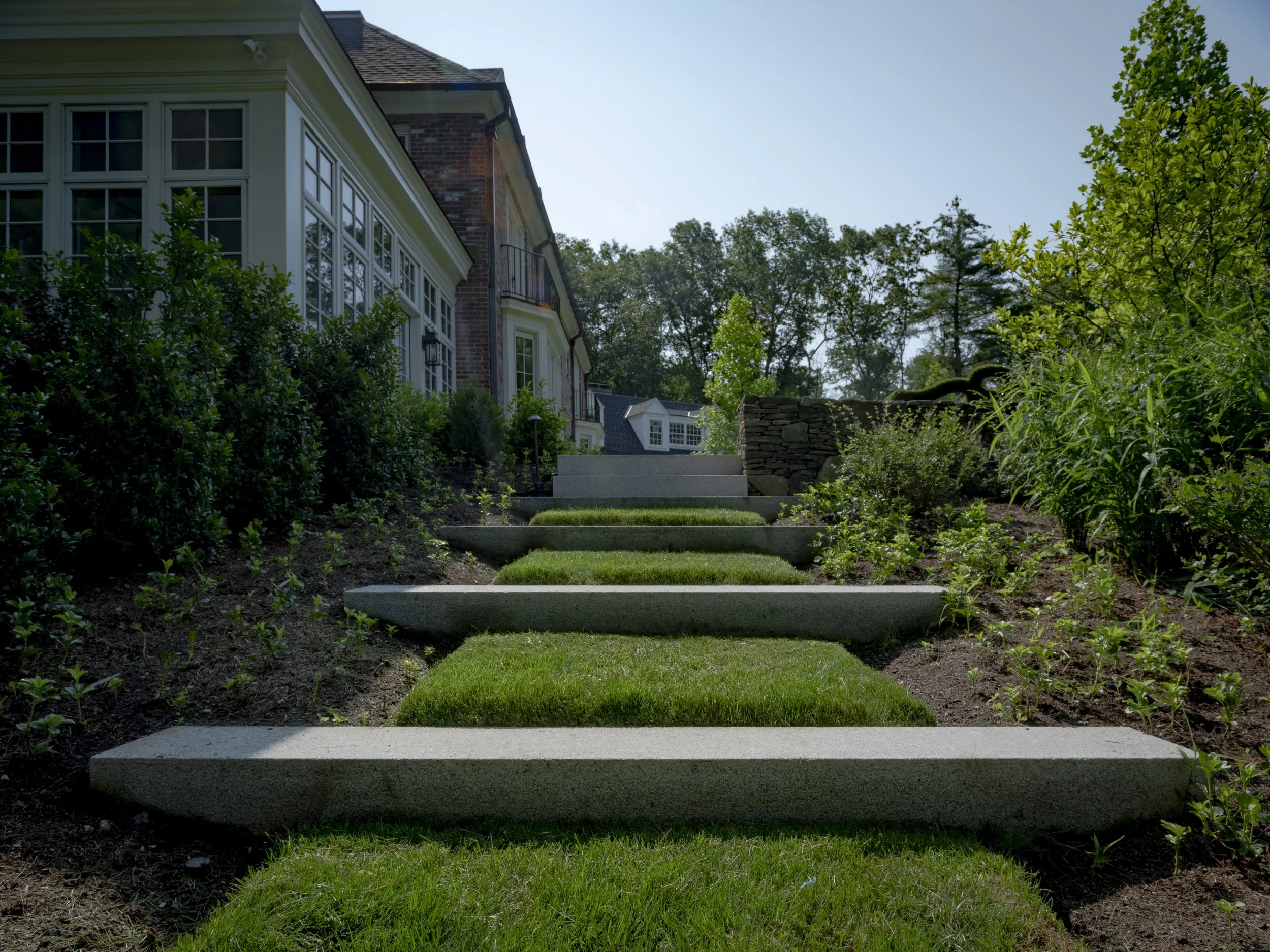 Concrete steps leading up a landscaped backyard with green grass and bushes, part of a large house with a brick exterior and white windows, surrounded by trees.