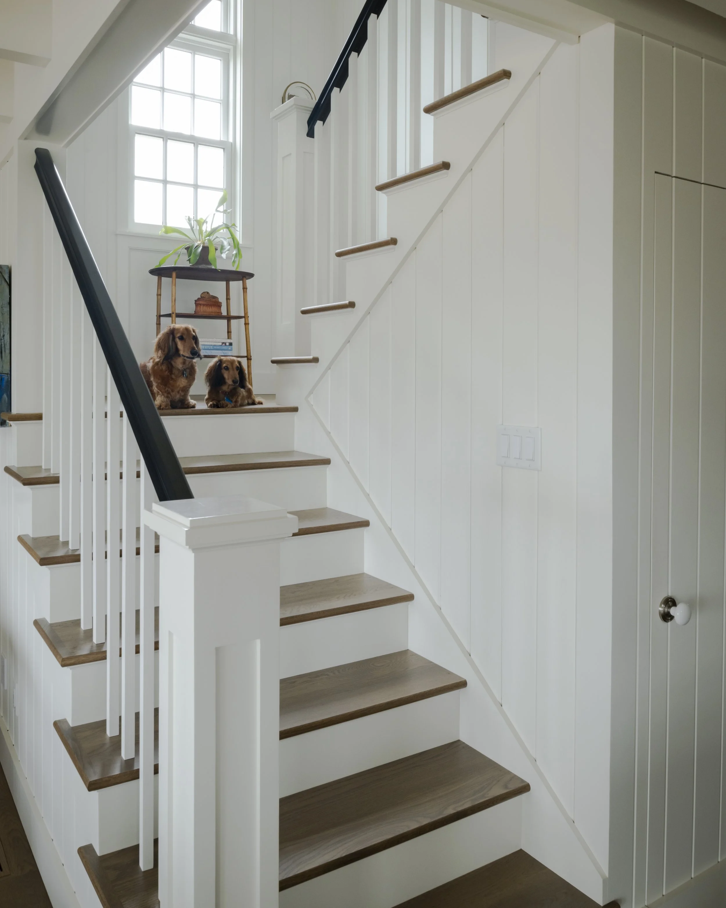 Two dachshunds sitting on the staircase landing with a small table, inside a brightly lit home with white walls and a large window.