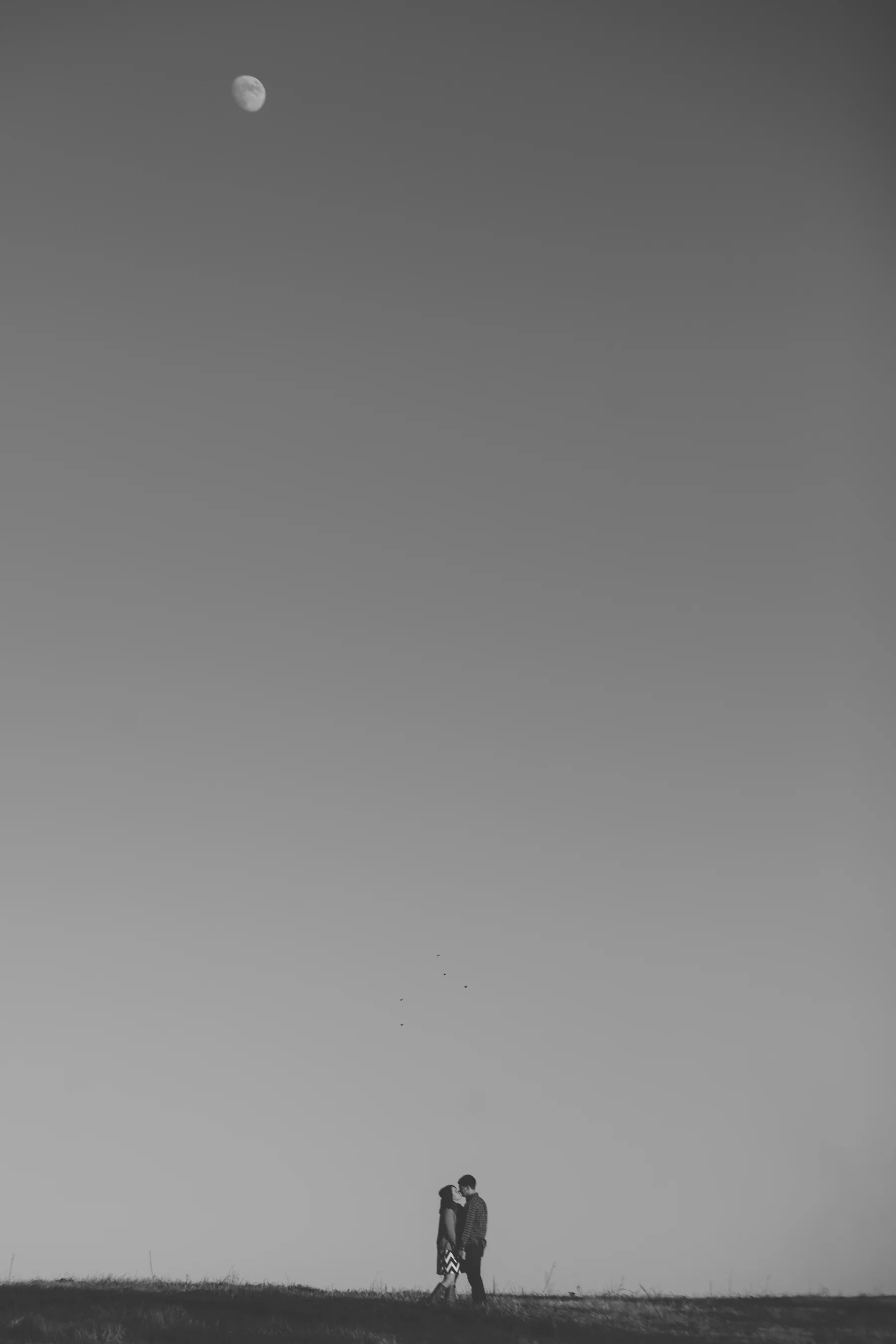 TAYLOR-0001.jpg