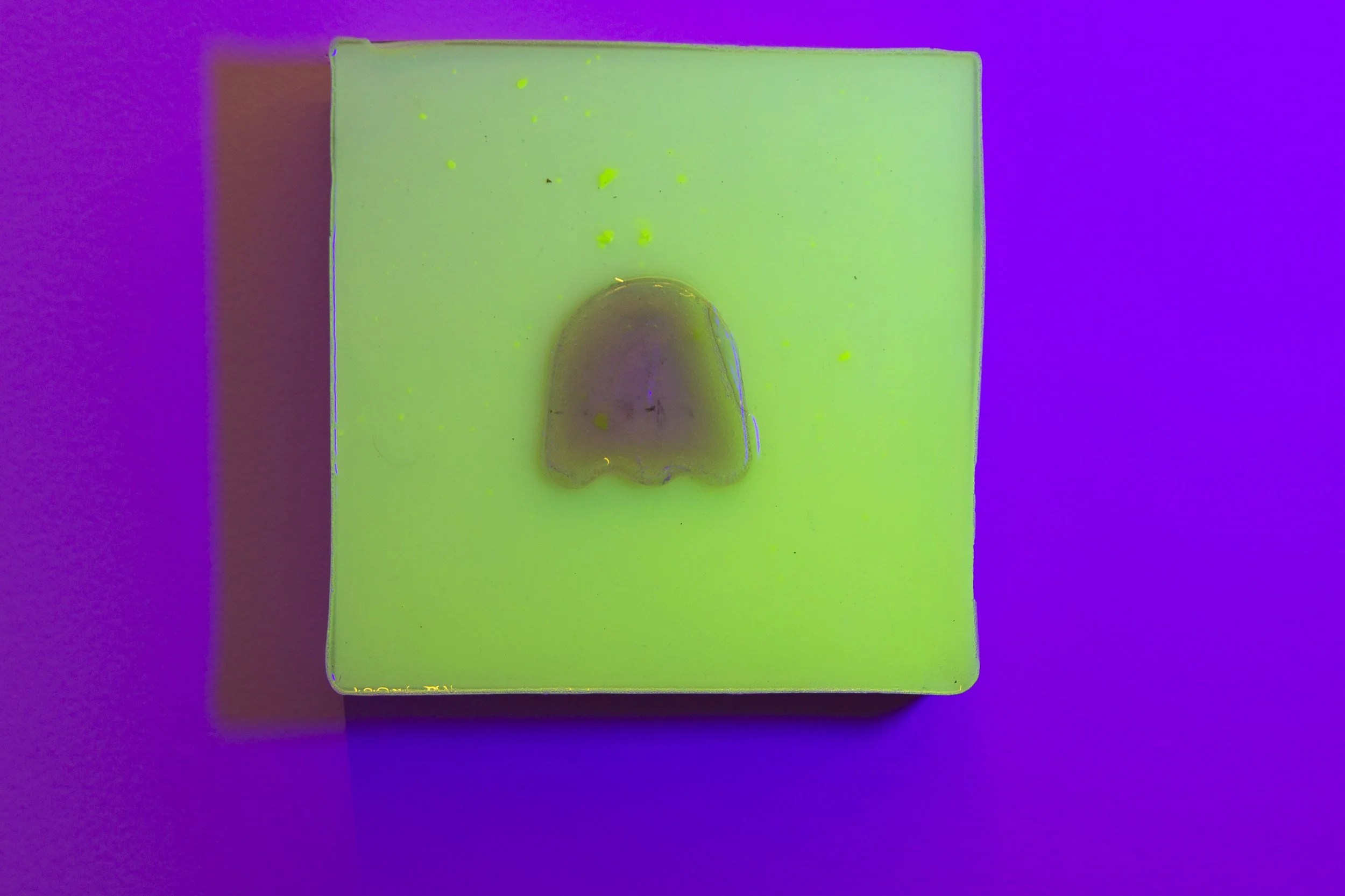 03 One for Ghost.JPG