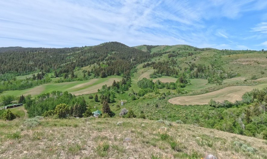 360 Tour of our Study Site