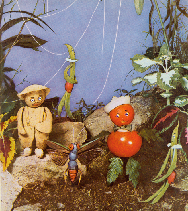 TommyTomato.png