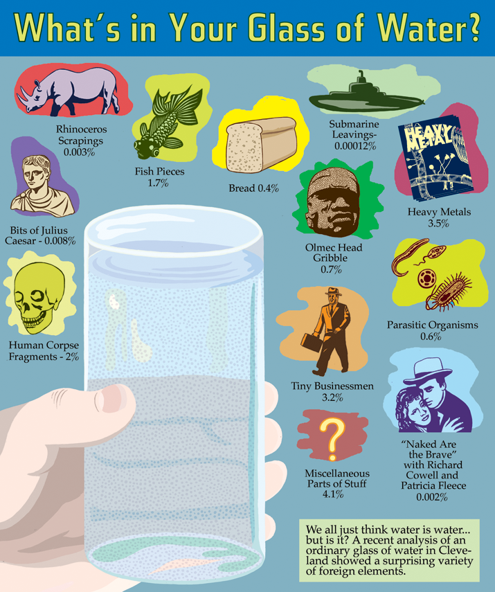 "What's In Your Glass of Water?" The Believer, 2006