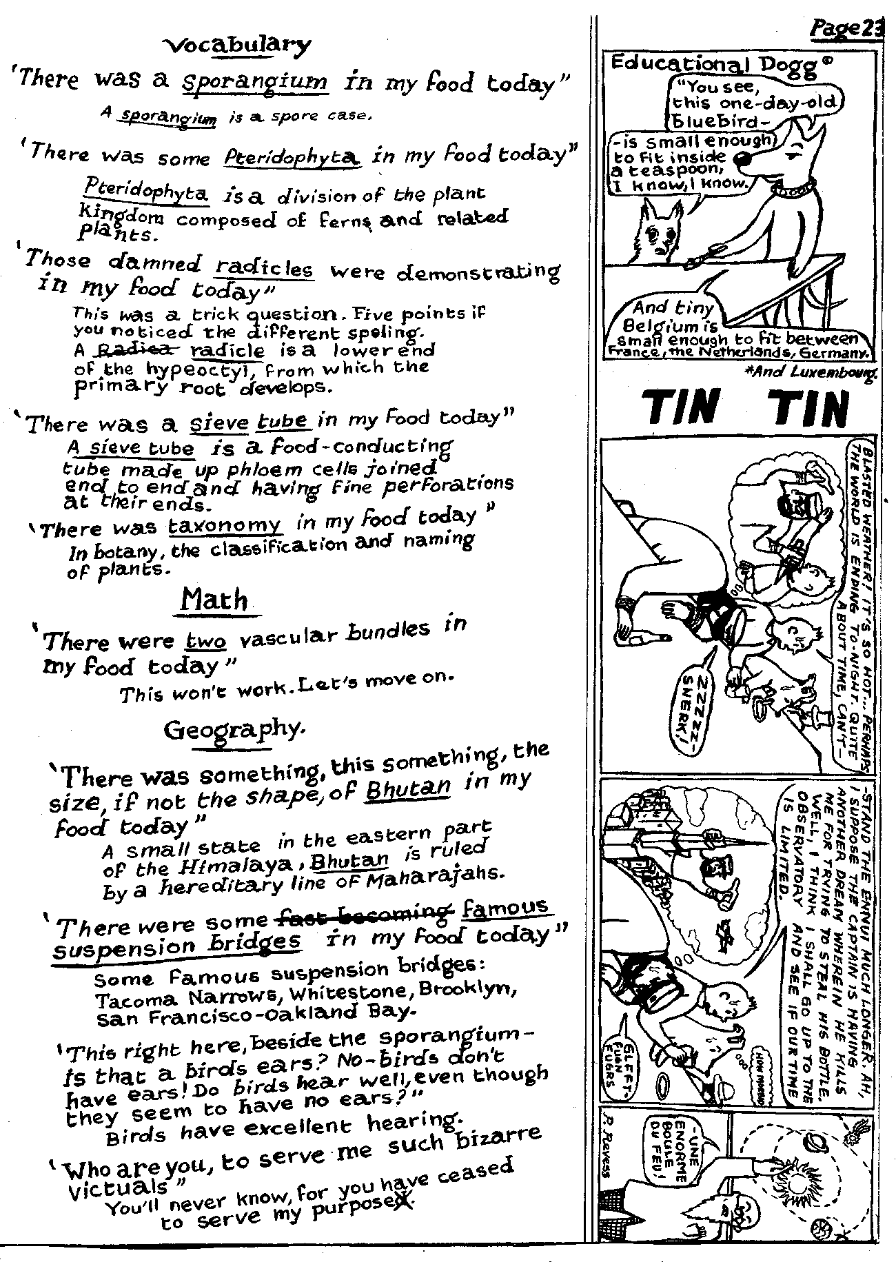 VocabTinTin.png