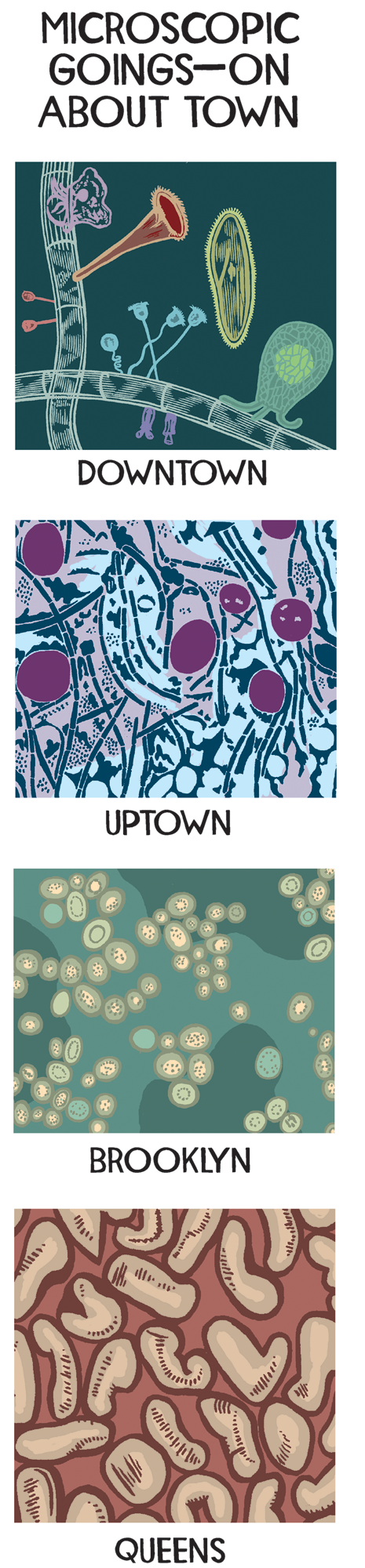 MicroscopicGoingsOn1.1.png