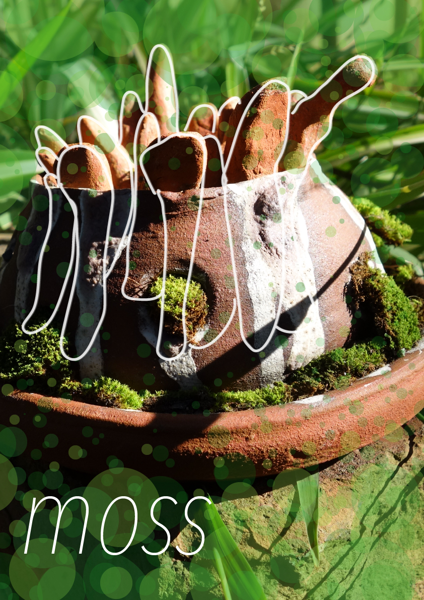 moss.jpg
