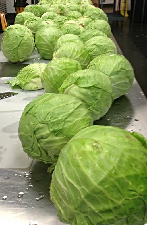 cabbage.jpg