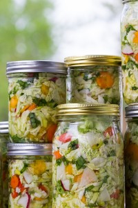 Cultured foods: Good for you & your pet
