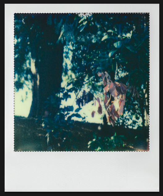 2) Use the Rectangular Marque Tool to select out the image area