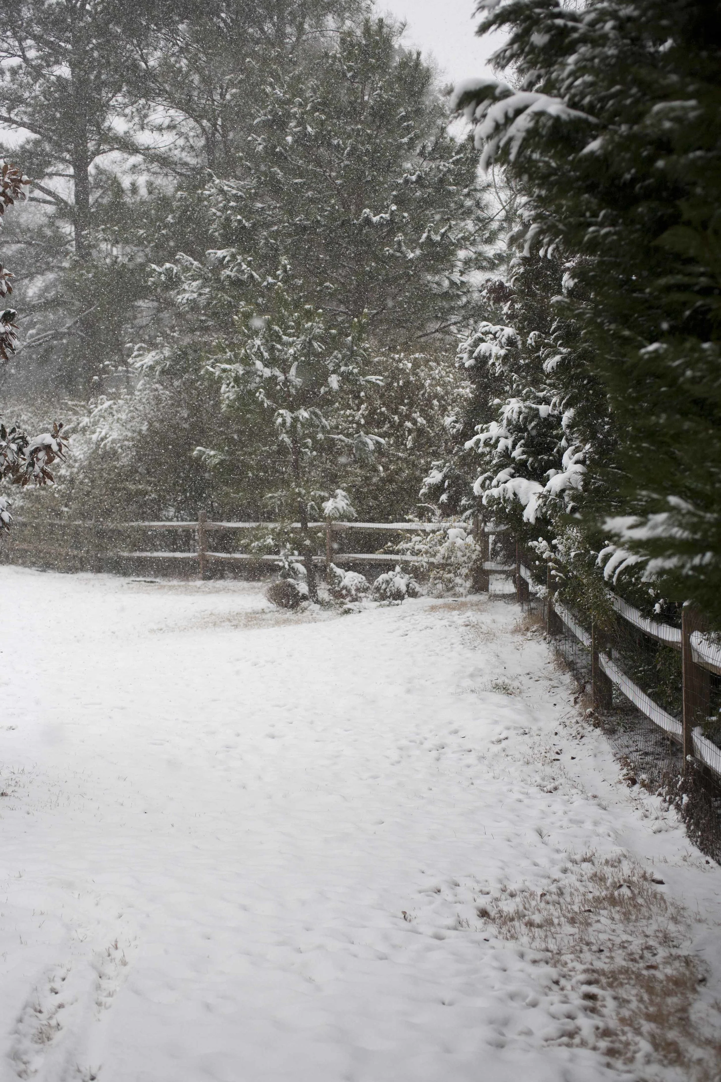 SNOW DAY ARIANA CLARE_13.jpg