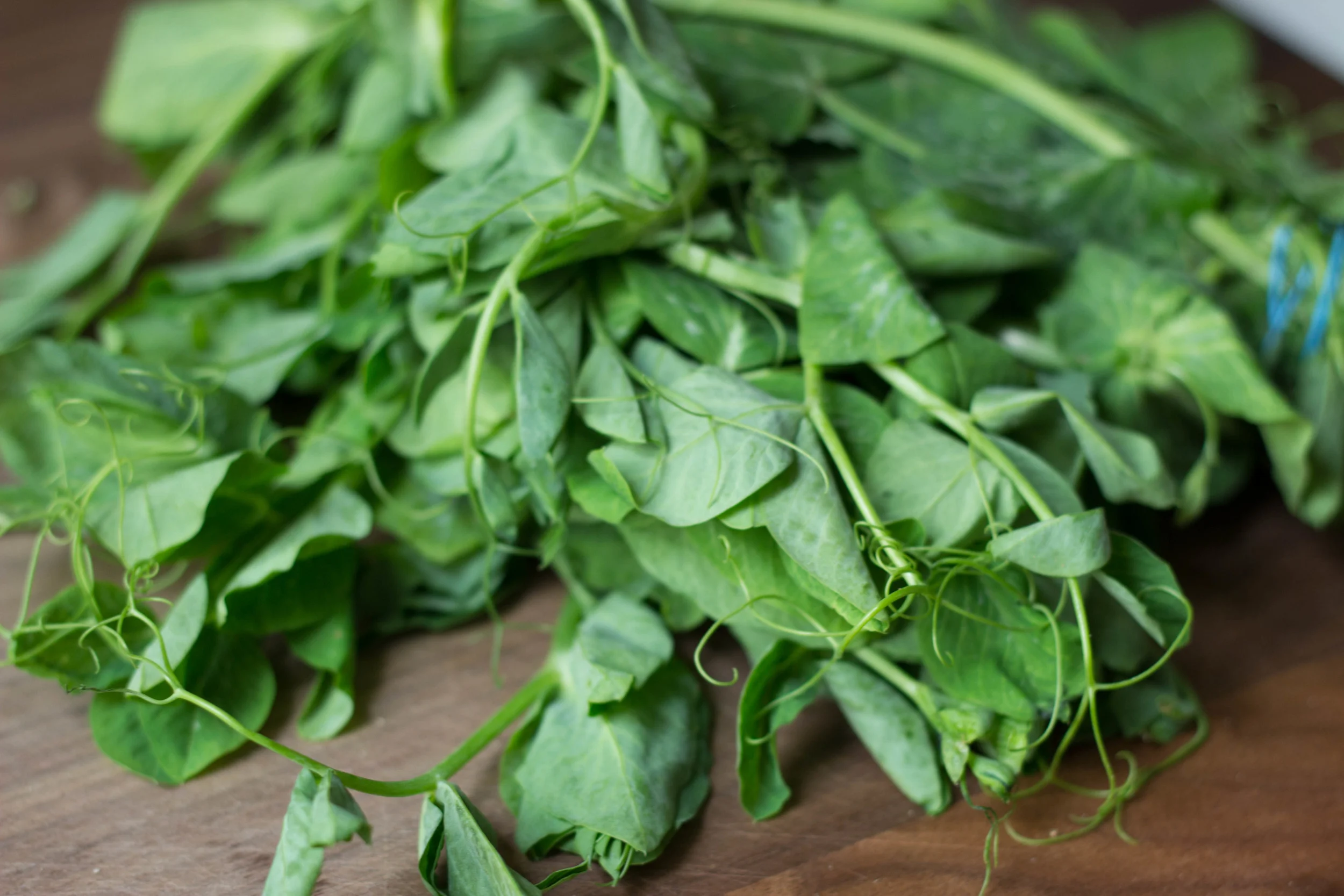pea shoots!