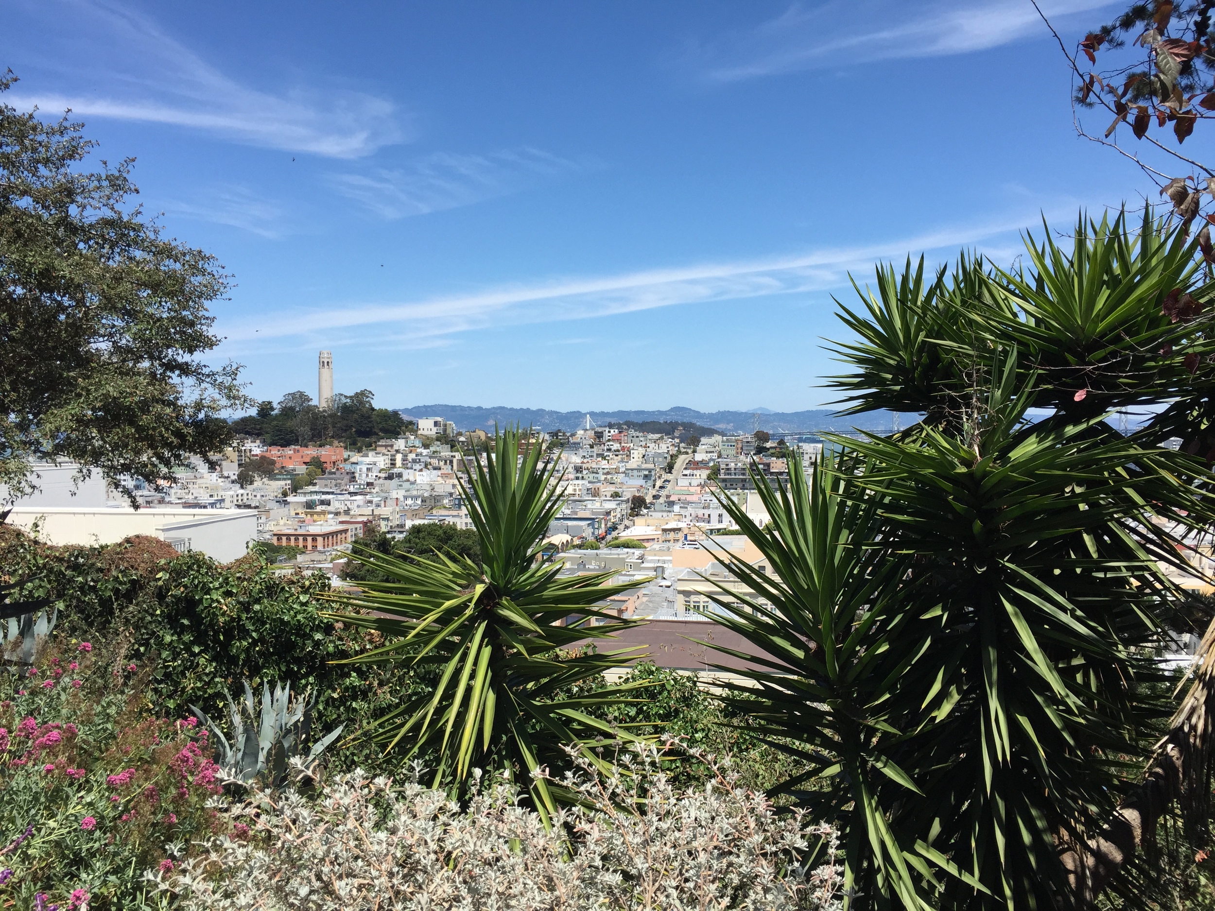 the view spot