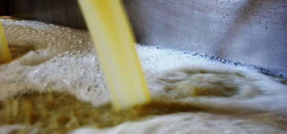 葡萄酒有什麼成份對心臟有益 22nd Feb 2018 pic 3.jpg