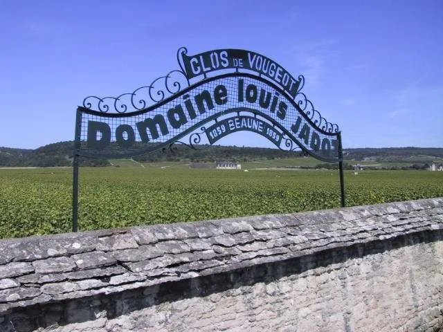 Louis Jadot 為何被拍賣會稱為 Legendary winemakers?