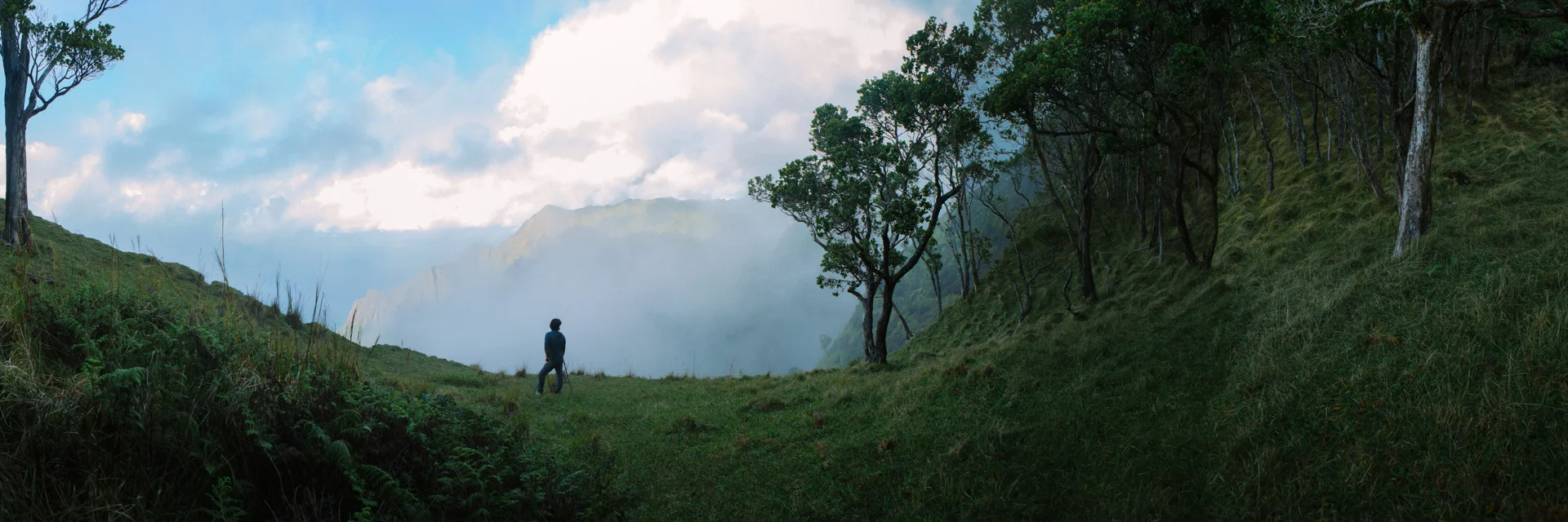 Shaun Fog Ridge.jpg