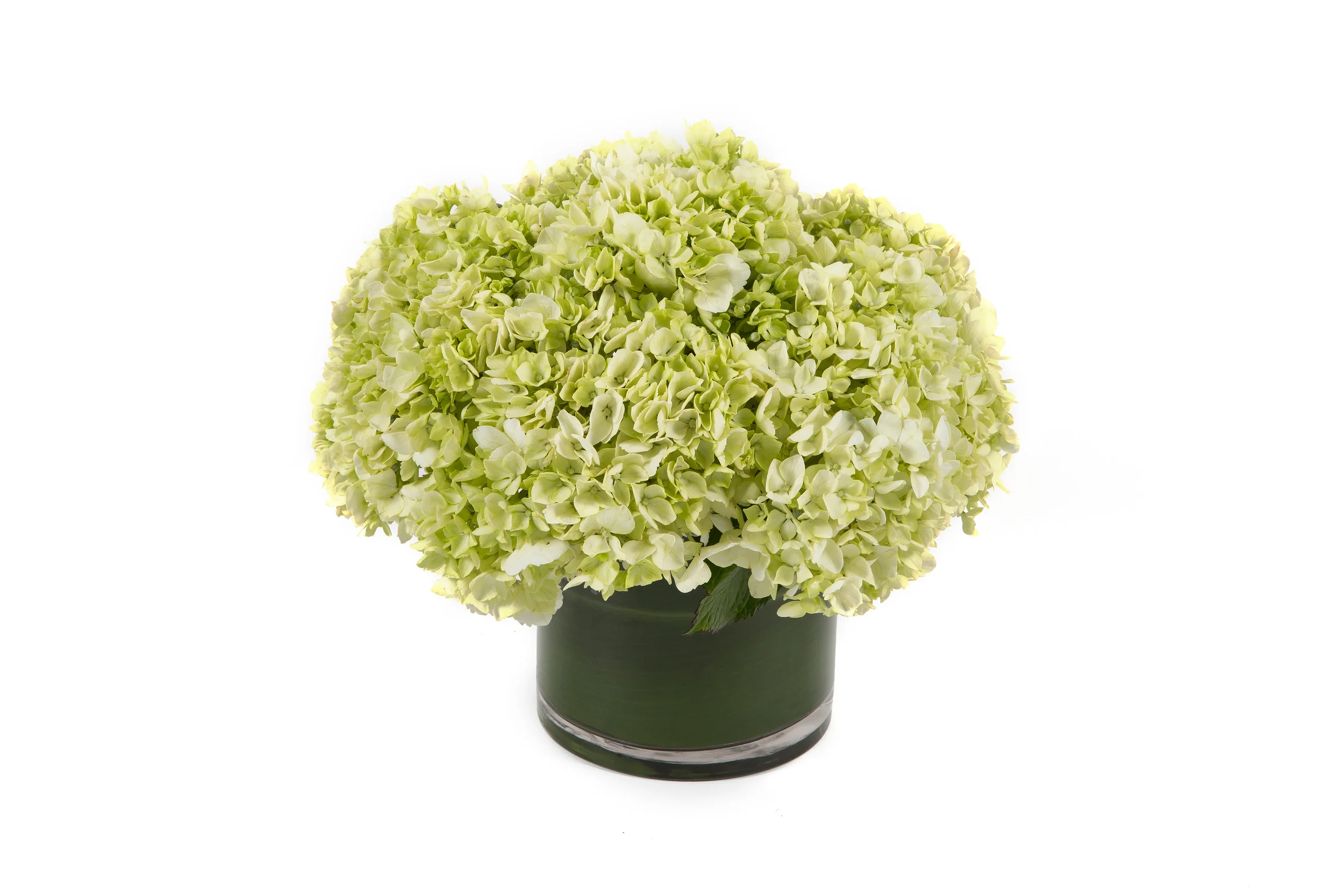 Hydrangea boquet.jpg