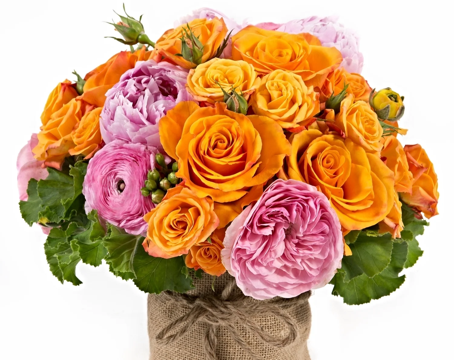 Orange+and+Pink.jpg
