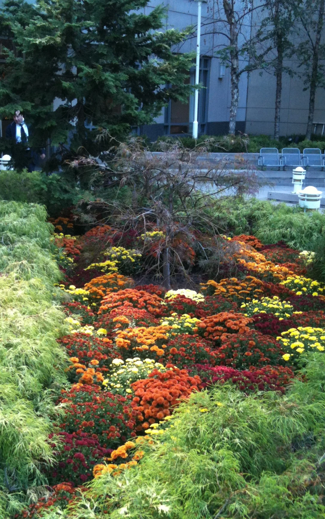 IMG_0798.jpg