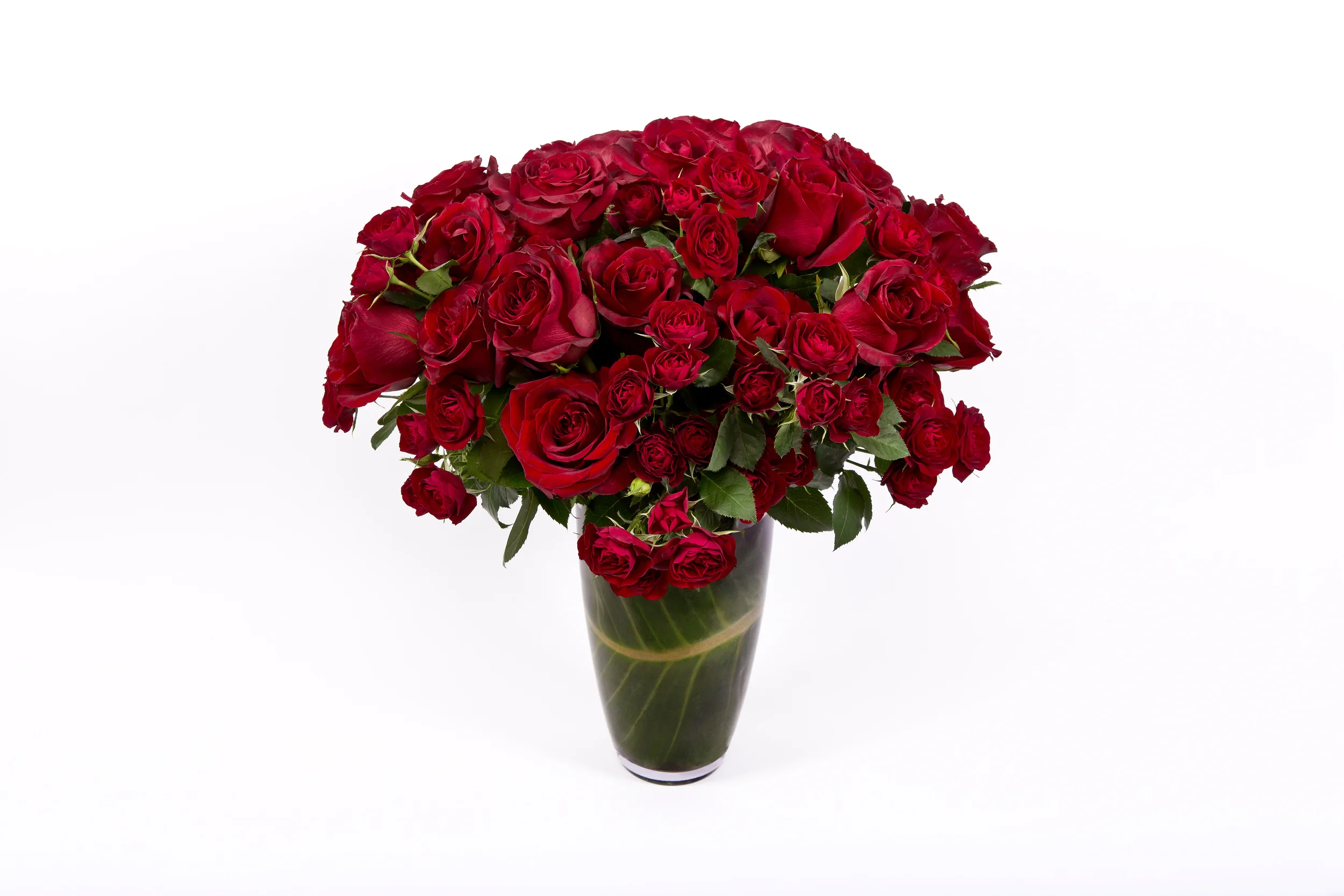 Roses 1.jpg