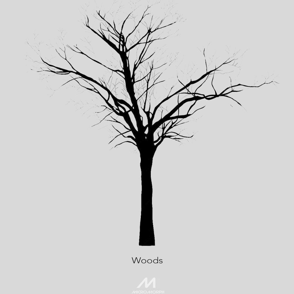 Woods2.png