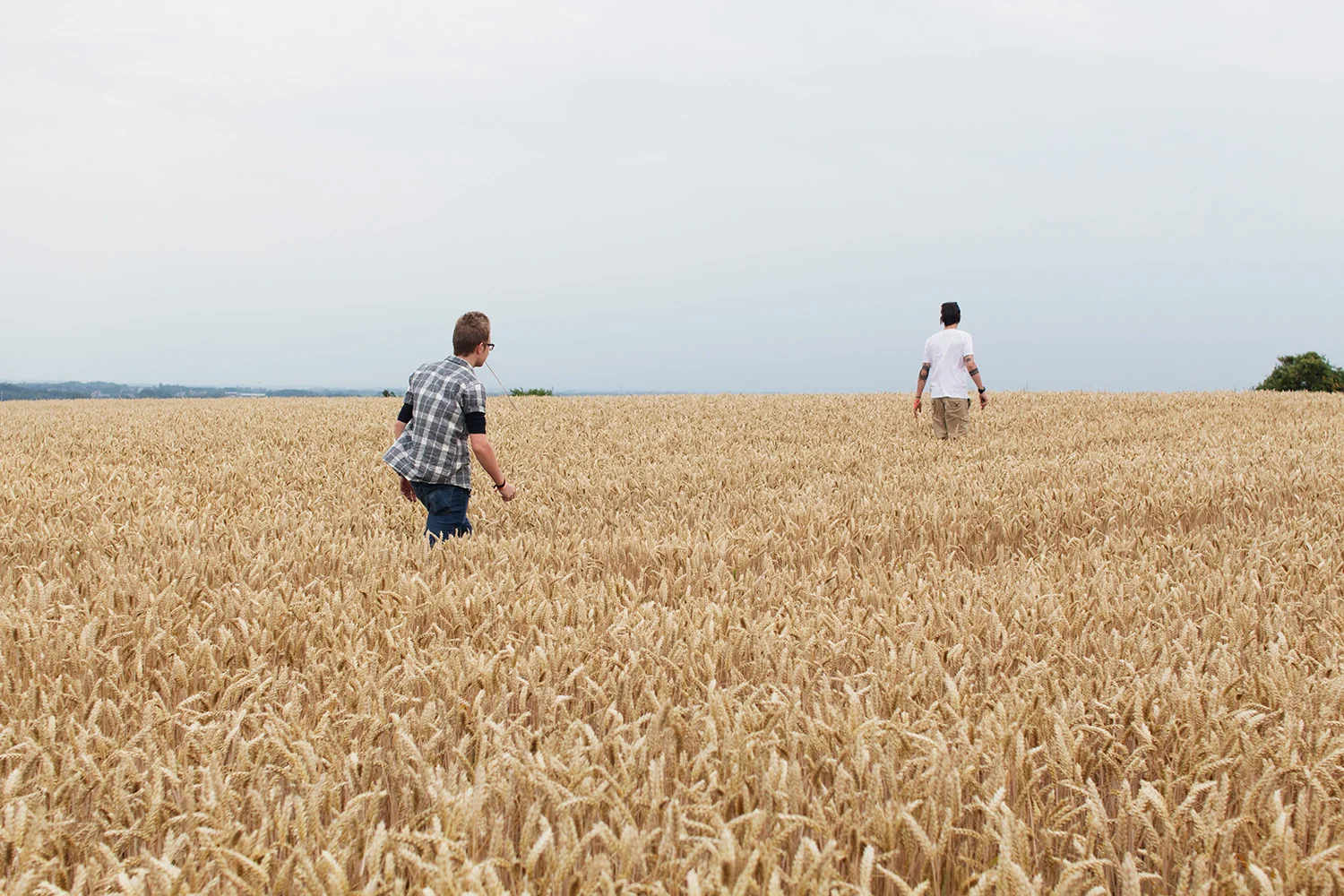 Two men walking through field of wheat in Belgium