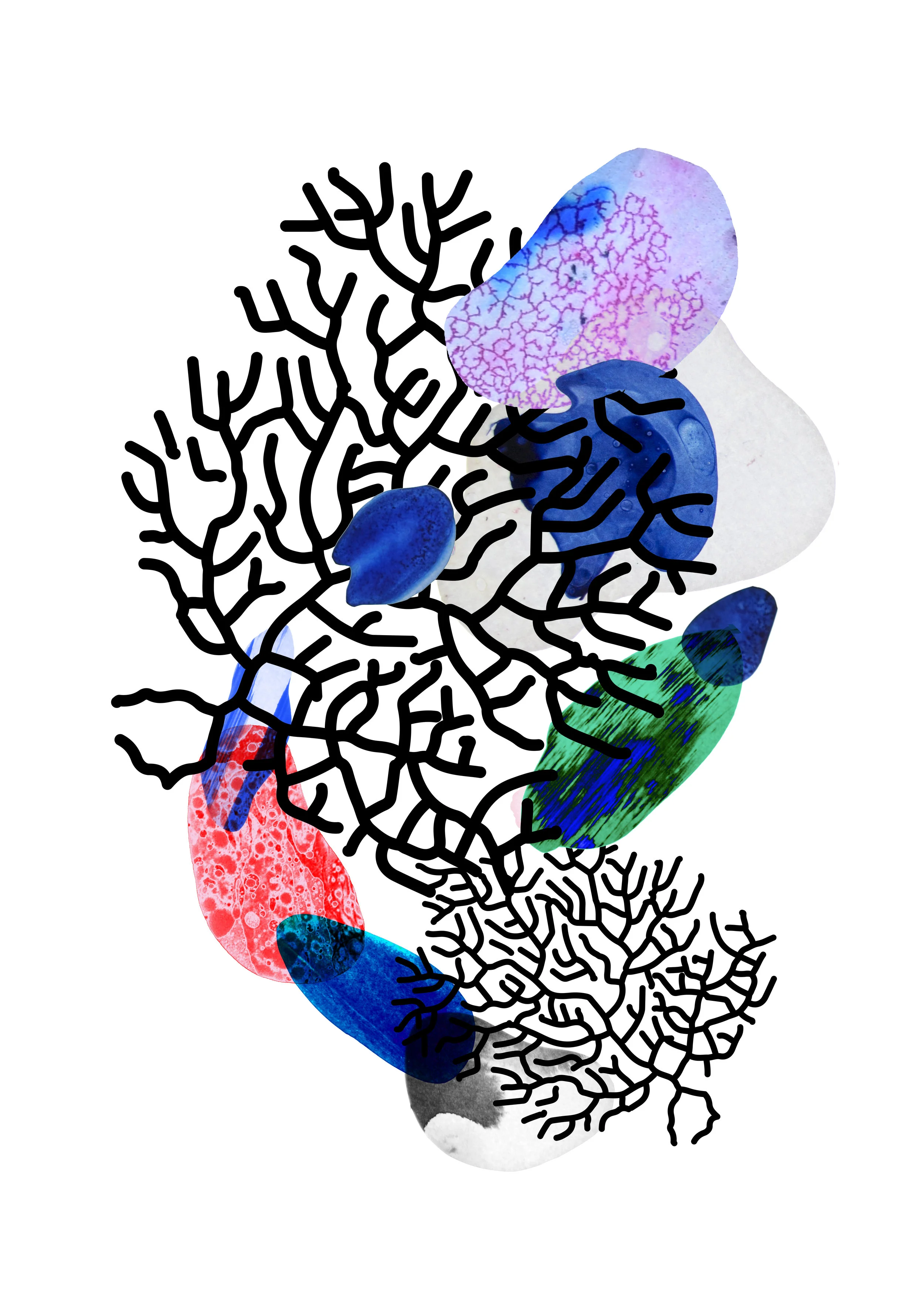 Print04-flat.jpg