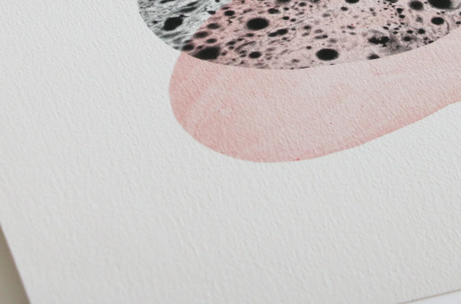 print06-closeup03.jpg