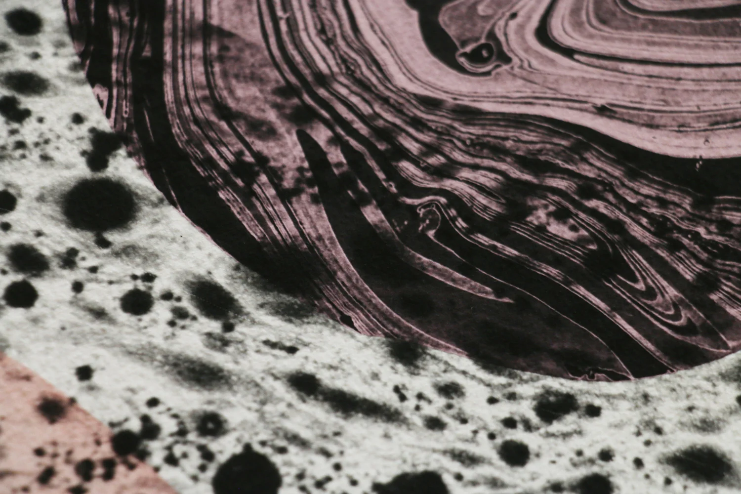 print06-closeup01.jpg