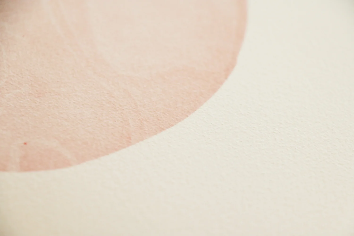 print06-closeup05.jpg