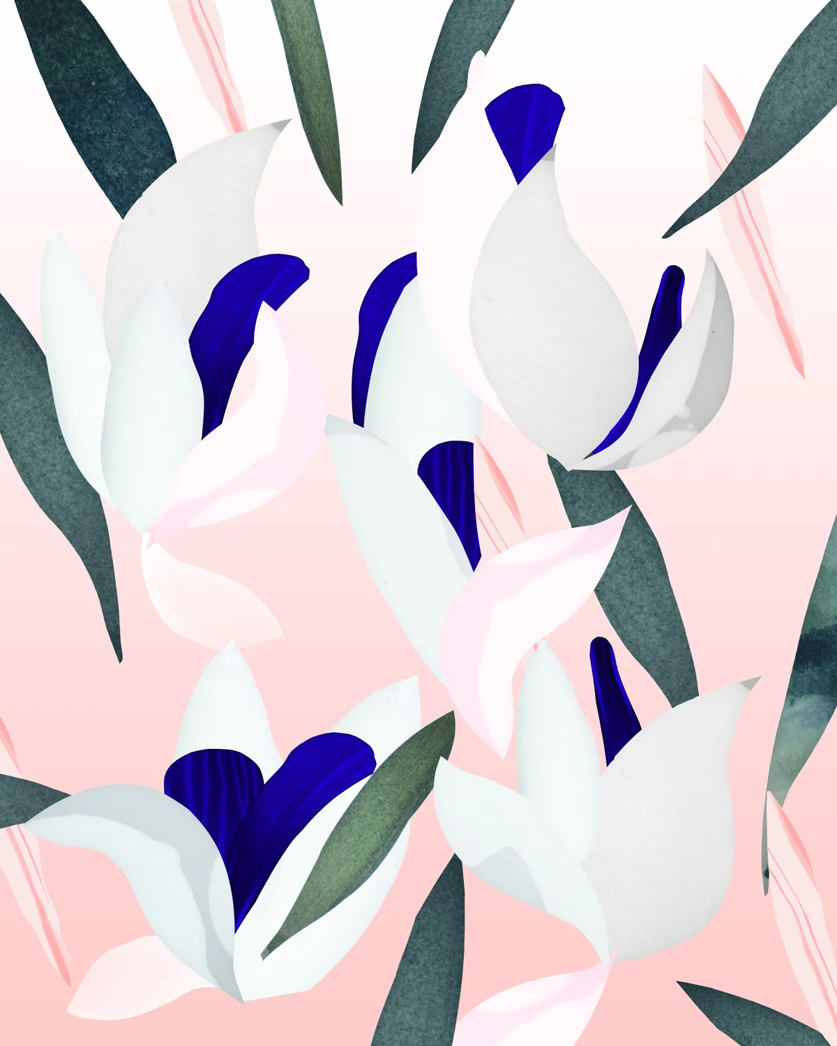 sara-thom-web-Magnolia-open-fond-rose-flat.jpg