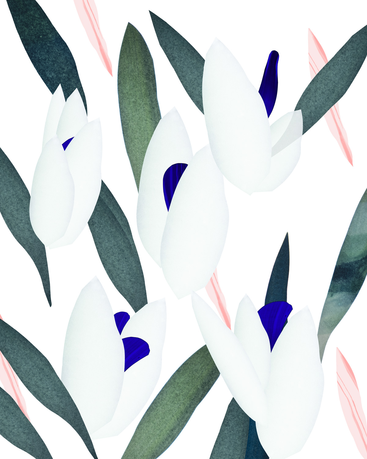 sara-thom-web-magnolia-blanc.jpg