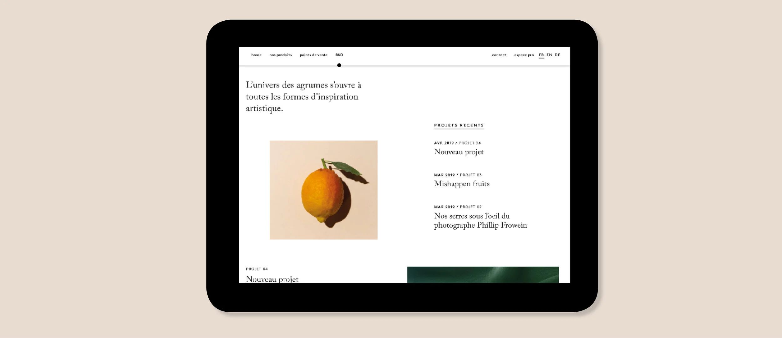 Branding-sara-thom-niels-rodin12.jpg