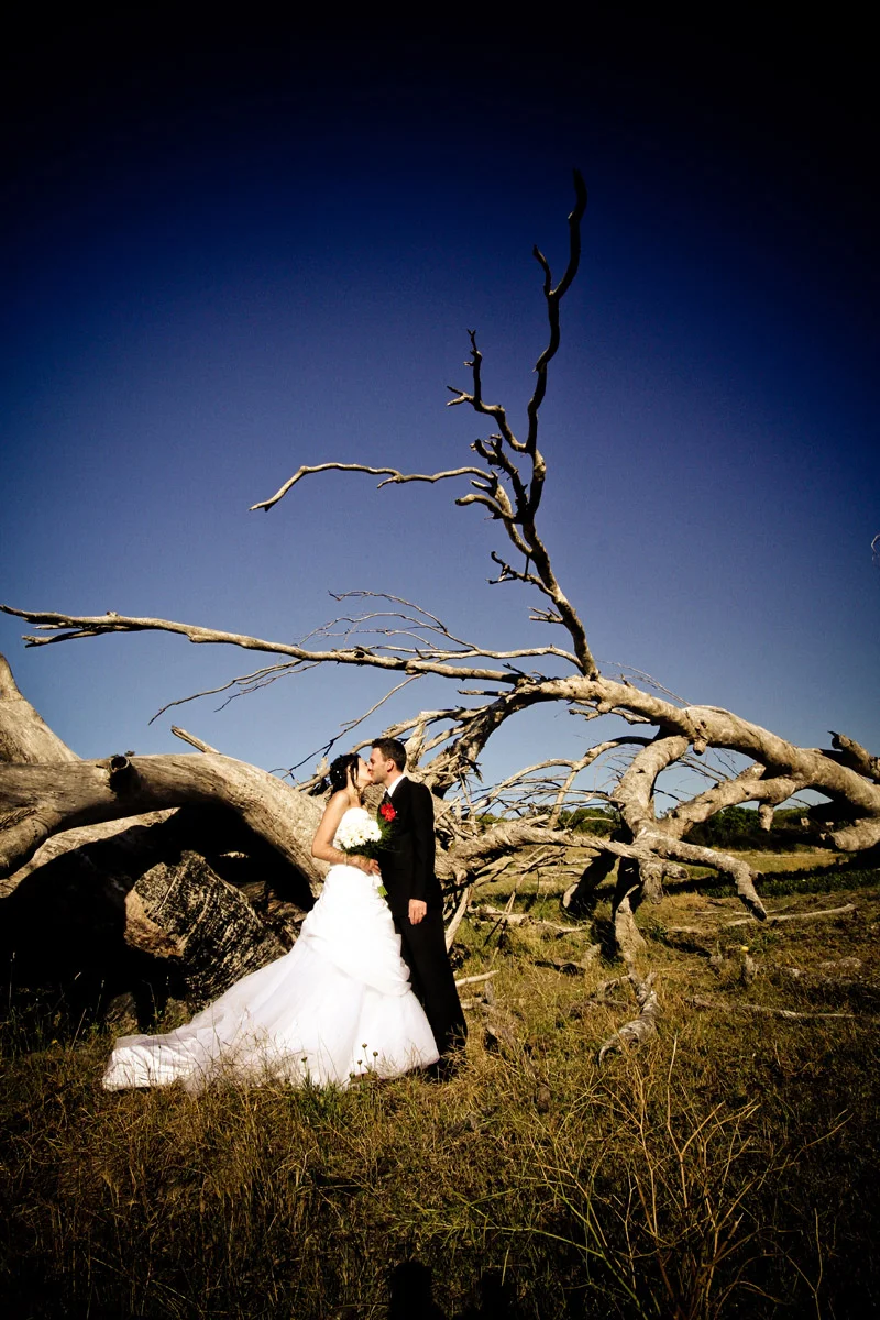 Elizma Hayman Photography Cape Town Wedding Photographer Western Cape