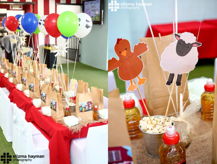 Elizma Hayman photography birthday party