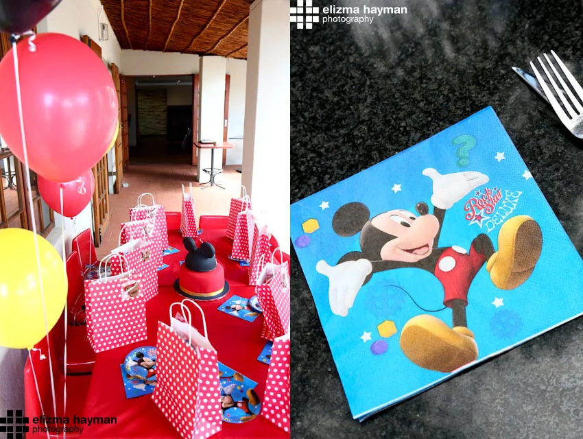 Elizma Hayman Birthday party photography