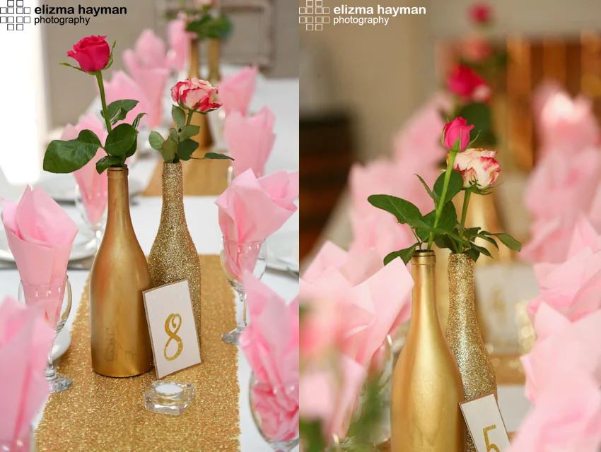 elizma hayman function photography