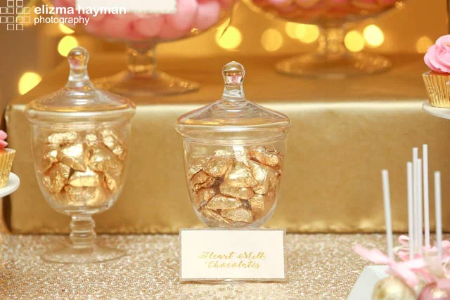 elizma hayman function photography