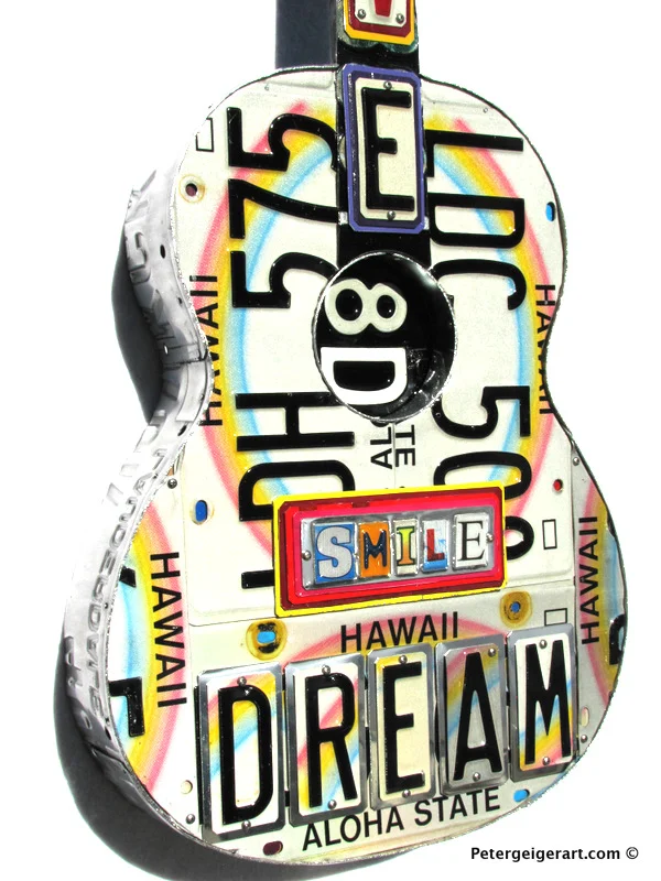 license-plate-art-Hawaii-Dreamer-006.jpg