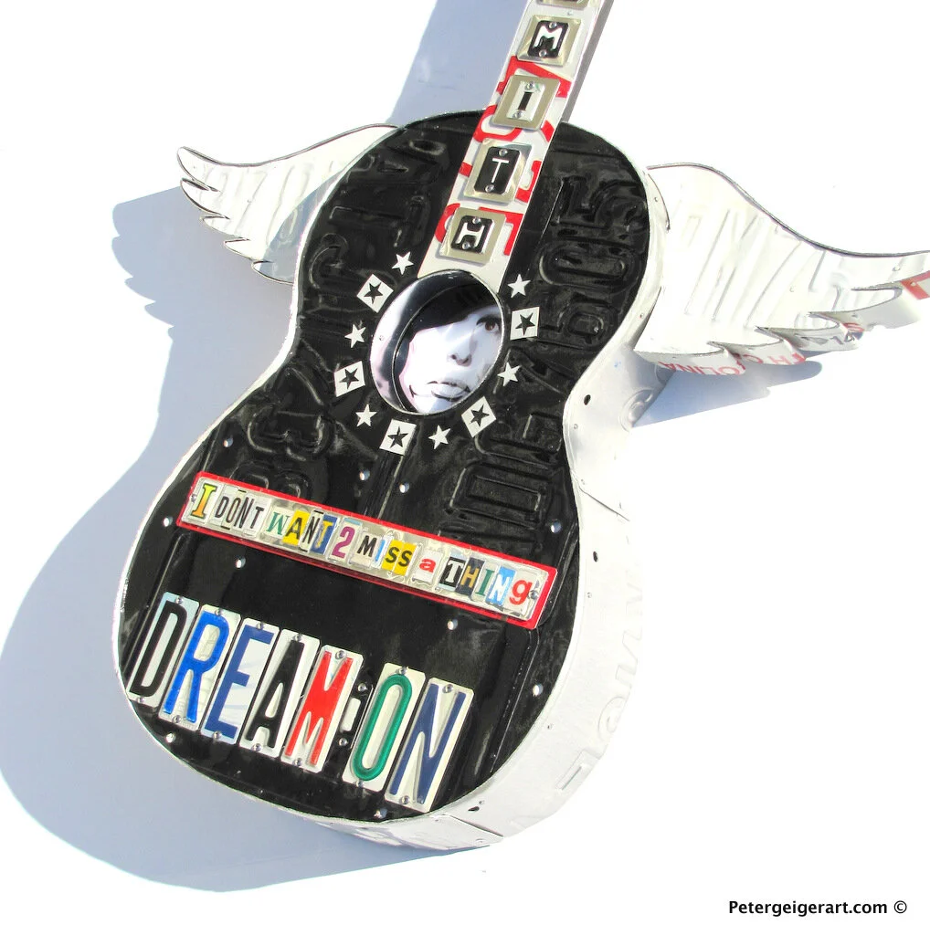 best_gift_for_an_aerosmith_fan-005.JPG