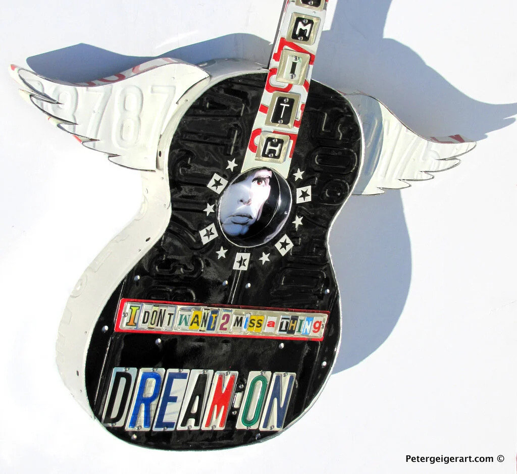 best_gift_for_an_aerosmith_fan-004.JPG