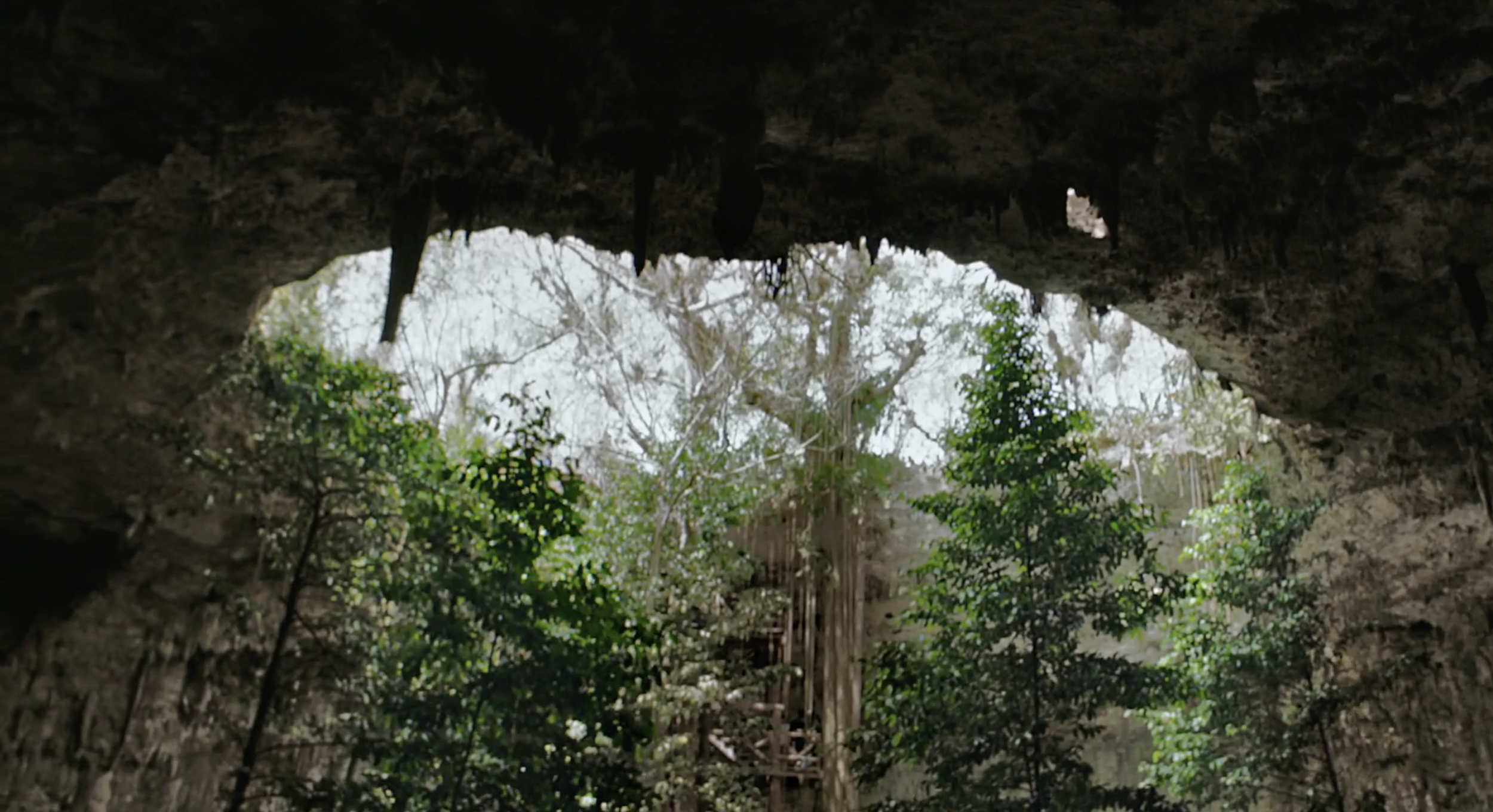 Screen Shot 2023-05-31 at 9.53.51 AM.png