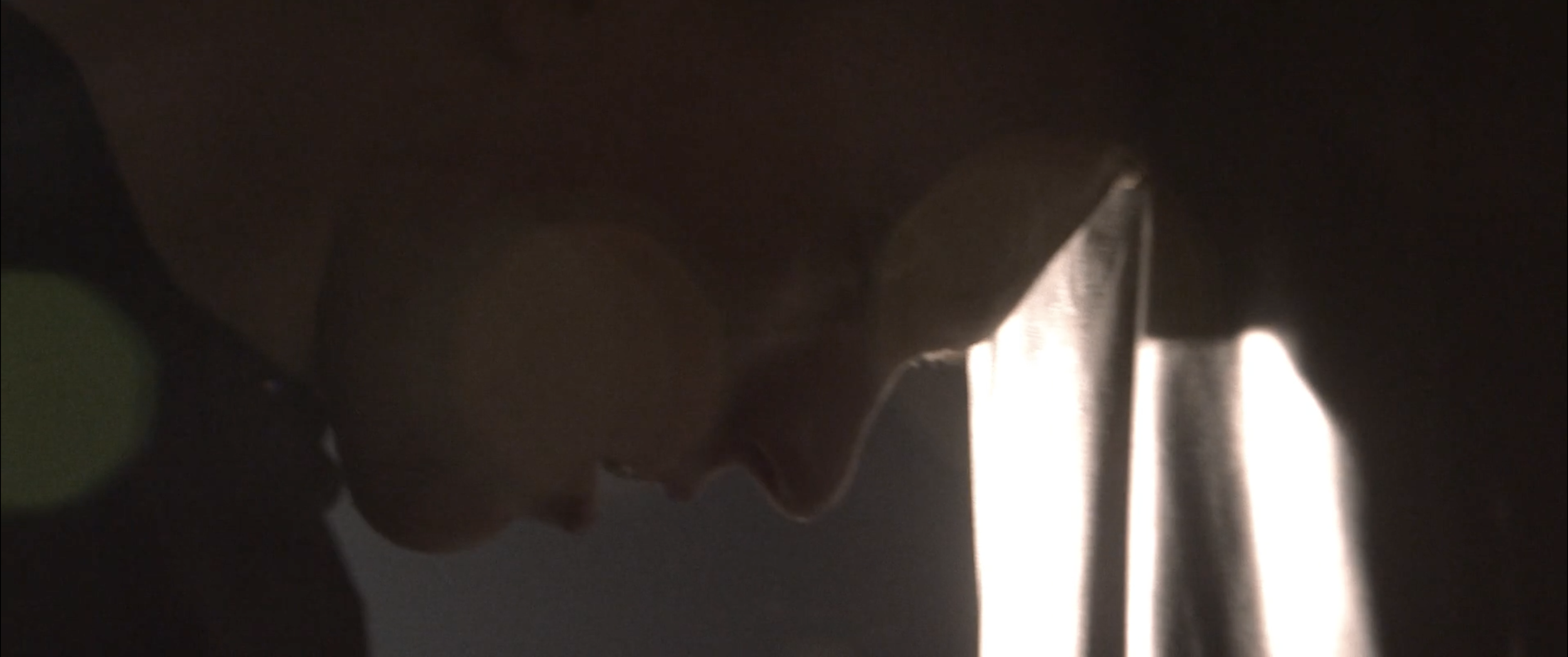 Screen Shot 2023-05-31 at 10.19.06 AM.png