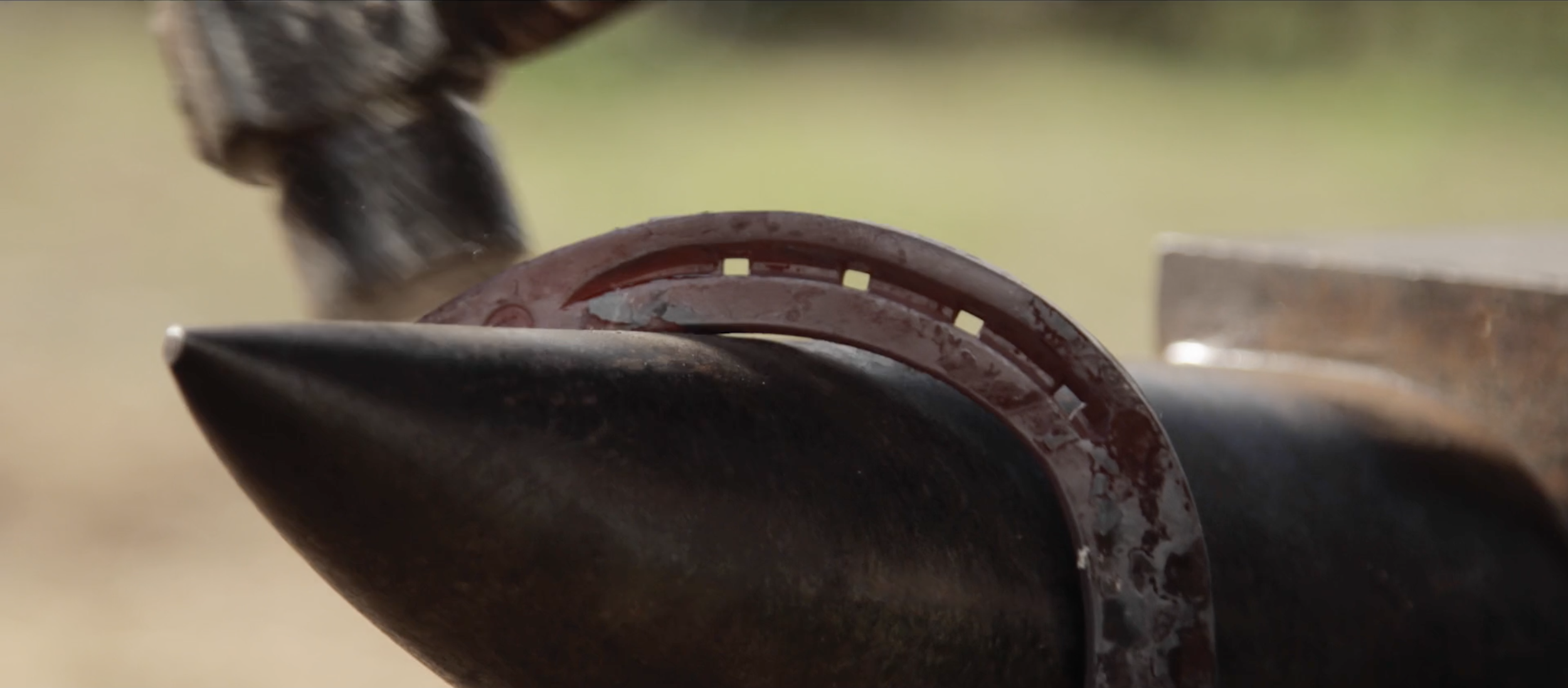 Screen Shot 2023-05-31 at 12.52.16 PM.png